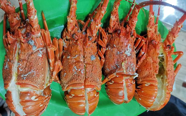 Vien Ho Quán - Hải Sản Tươi Sống