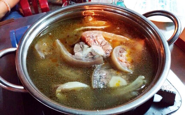 Gân hấp hành