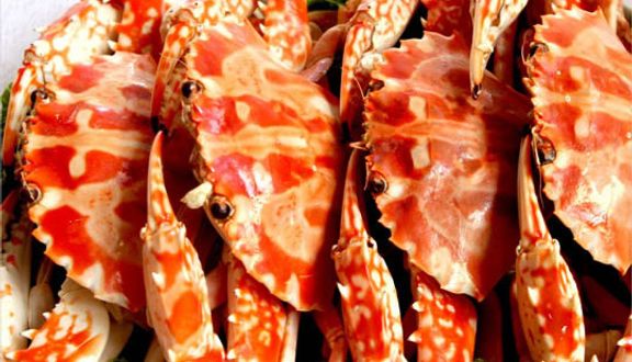 Hiền Anh - Hải Sản Binh Dân