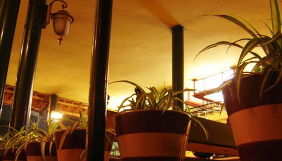 Cổ Ngư Cafe