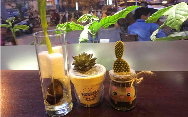 Smoothie Viêt Quất