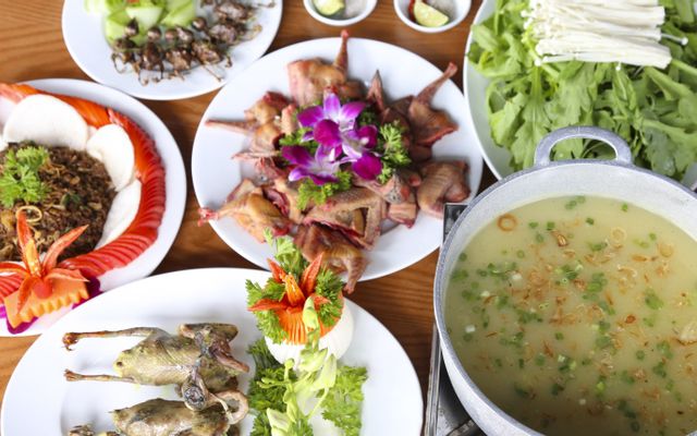 Chim Đại Ngàn