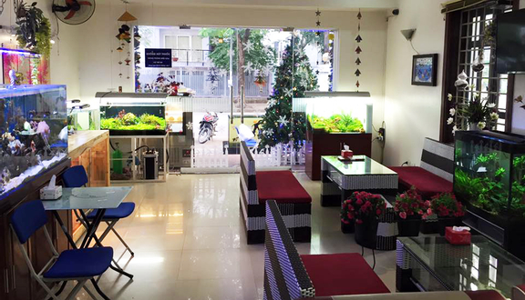 Cà Phê Cá Cảnh - Aquaview Cafe