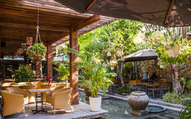 Coconut Cafe