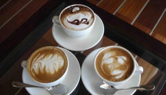 Cacao sữa