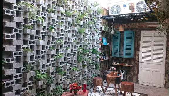 Tắc xí muội