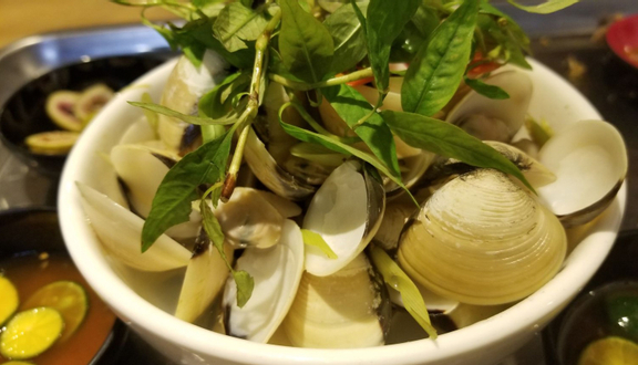 Appa Ốc - Trần Hòa