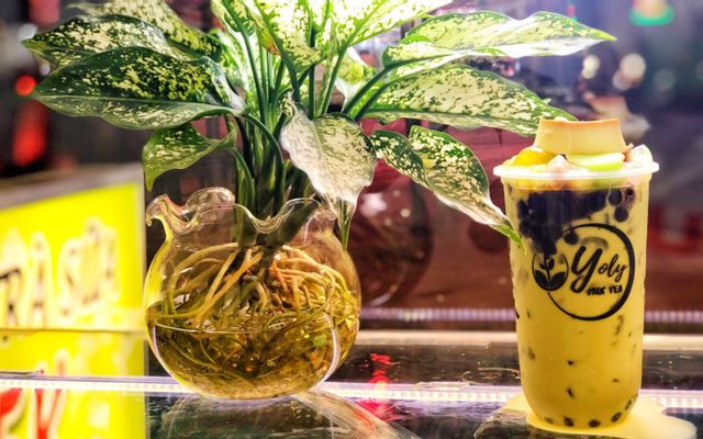 Yoly Milk Tea