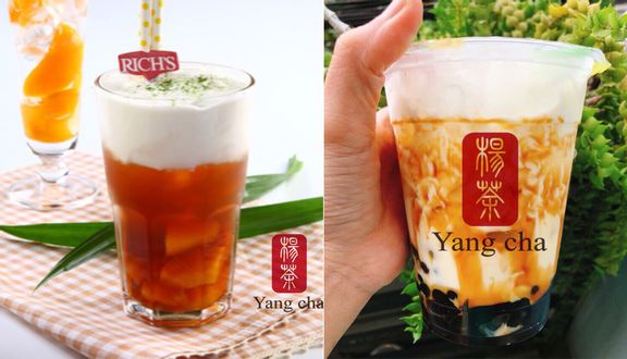 Yangcha Vietnam - Trà Sữa Không Béo