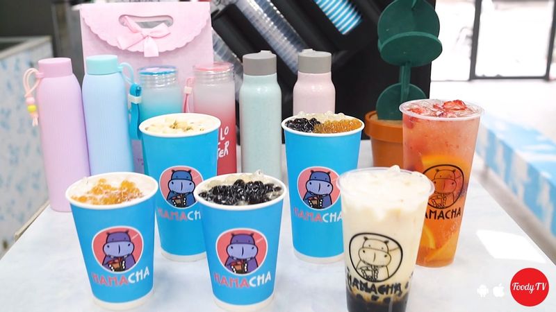 Trà Sữa HAMA CHA