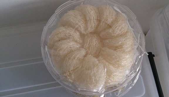 Tổ Yến Sạch Salva - Shop Online