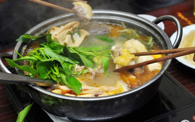 Tấn Phát - Lẩu Gà Nòi