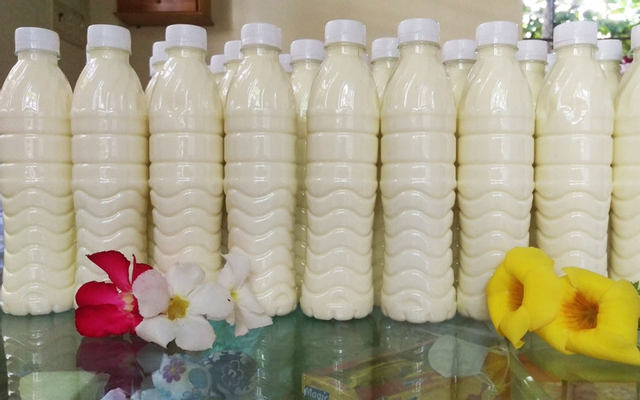 Sữa gạo lức