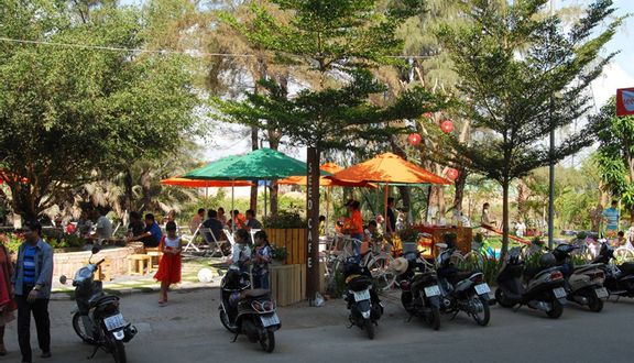Seed Cafe