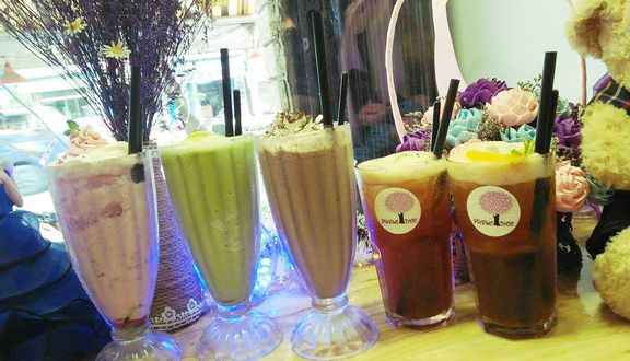 Purple Tree Coffee