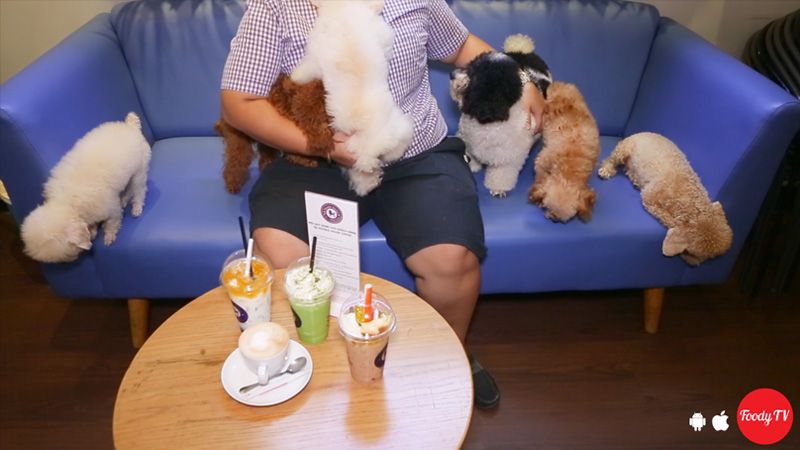 Poodle House Coffee - Phan Đình Phùng