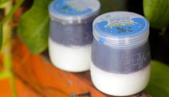 Rau câu sợi rong biển