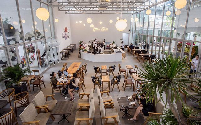 Ollin Café - Nguyễn Thị Thập
