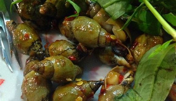 Ốc Nốc - Lê Thị Bạch Cát