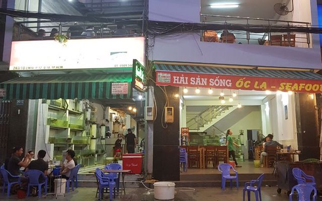 Ốc Lạ - Cách Mạng Tháng 8