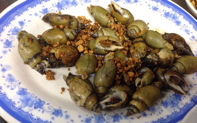 Sò lửa luộc