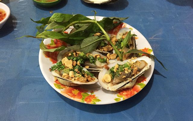 Ốc Đêm - Đất Thánh