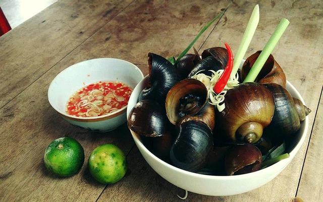 Gỏi ốc móng tay