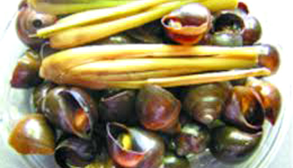 Ốc 154 - Tuệ Tĩnh