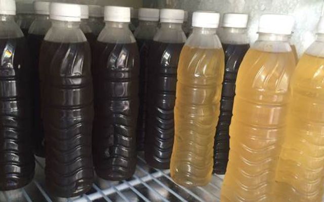 Nước Sâm Thái Bình - Cống Quỳnh
