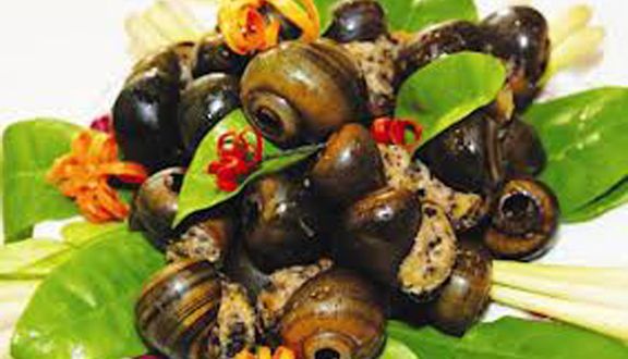 Nam Sơn - Quách Đình Bảo