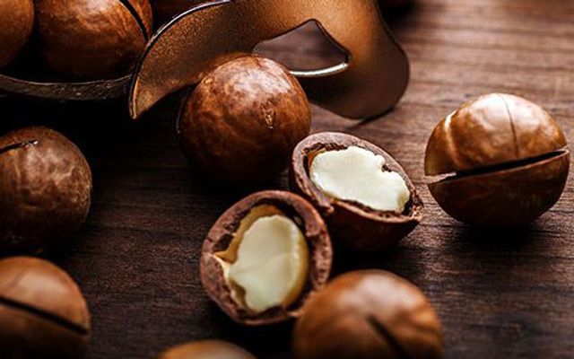 Macadamia - Mắc Ca Việt Nam - Võ Thành Trang