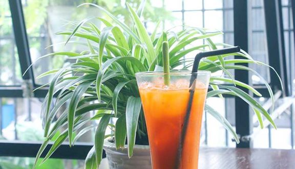 M+ Coffee - Nguyễn Thiện Thuật