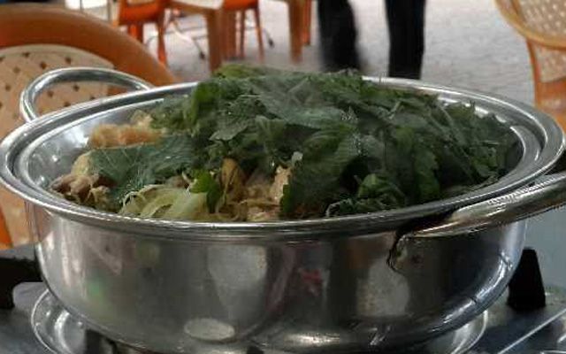 Lẩu Dê Anh Đào - Thái Thị Nhạn