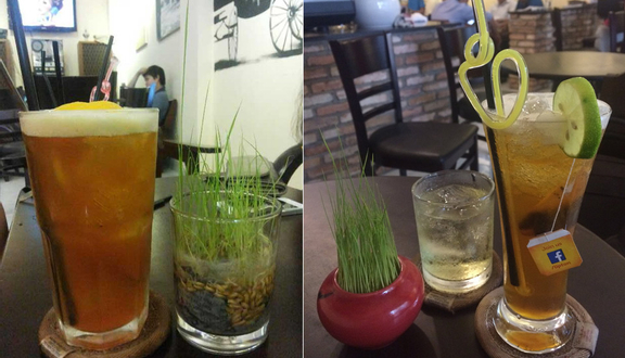 Hoàng Thị Cafe - Bà Hạt