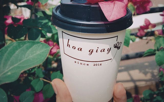 Hoa Giấy Cafe