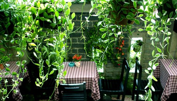 Hình Như Là Cafe - Nguyễn Trọng Tuyển