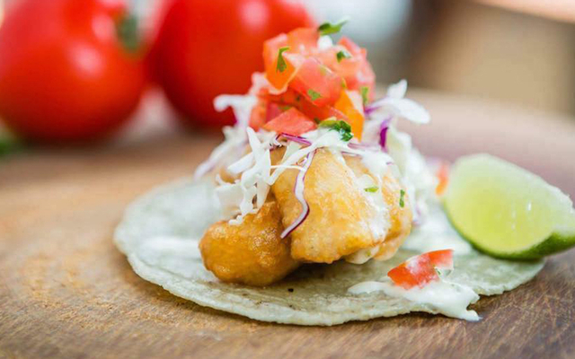 Gringo Tacos Y Cantina - Homemade Mexican Restaurant