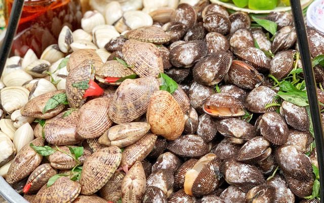 Sò lụa luộc