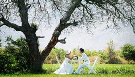 Quốc Tuấn Studio - Lê Văn Sỹ