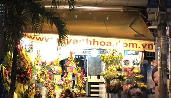 Mỹ Anh Hoa