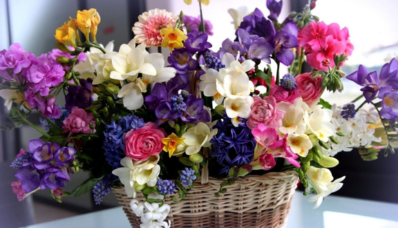 Florist Saigon - Shop Hoa Online