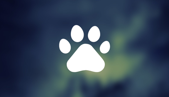 Bệnh Viện Thú Y Pet Care 3