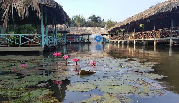 Nông Trại Ong Vàng - Khu Du Lịch Sinh Thái