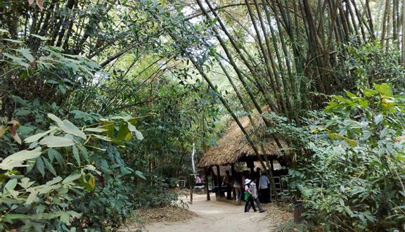 Khu Di Tích Lịch Sử Địa Đạo Củ Chi