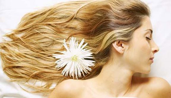 Ty Ty Chuyên Nghiệp Tóc - Thích Quảng Đức