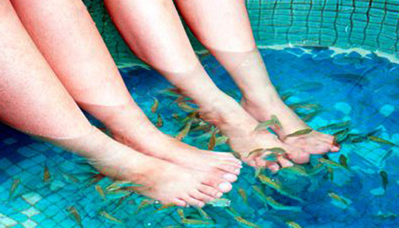 Blue Moon Spa - Đồng Khởi