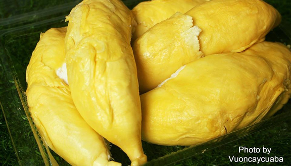 Vườn Cây Của Ba