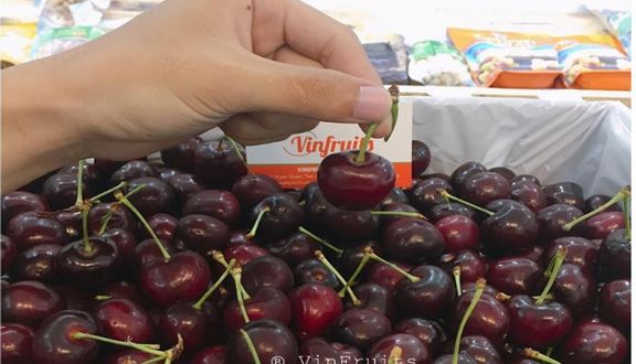Vinfruits - Trái Cây Nhập Khẩu