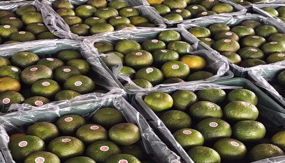 Trái Cây Sạch Foodreen