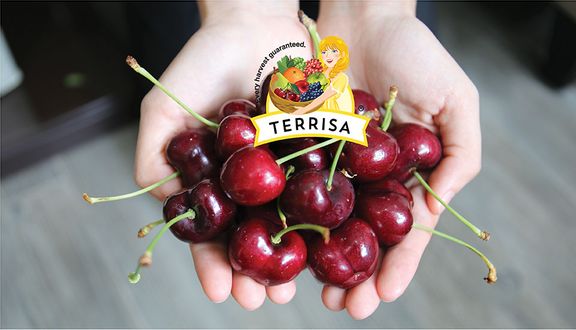 TERRISA Direct